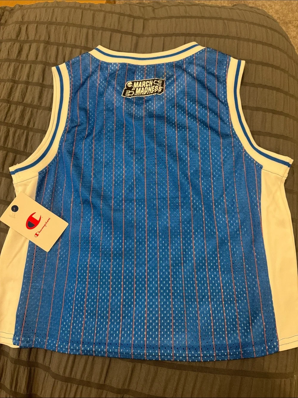 Champion Blue and White Space Jam '96 Basketball Jersey